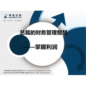 总裁的财务管理智慧-掌握利润
