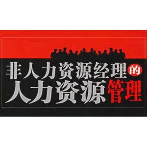 《非人力资源经理的人力资源管理实战》