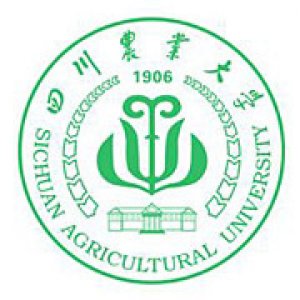 四川农业大学（网络教育）